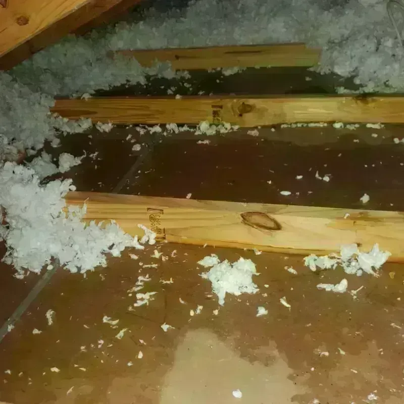 Attic Water Damage in Weston, OH