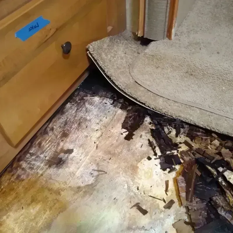 Wood Floor Water Damage in Weston, OH